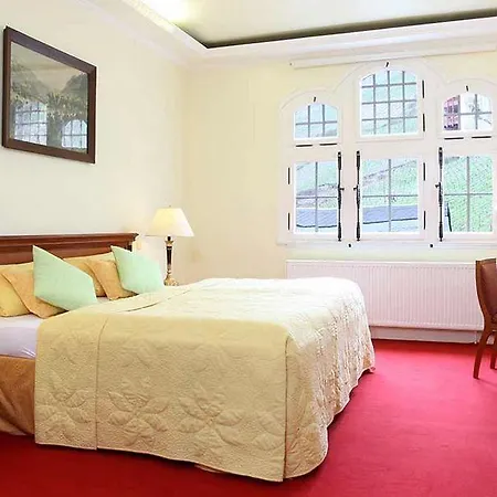 호텔 Am Markt 바하라흐