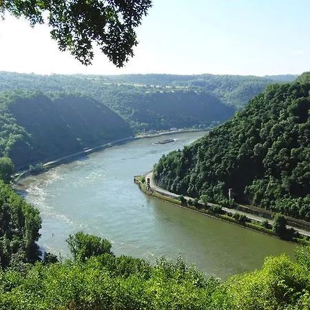 호텔 Am Markt 바하라흐